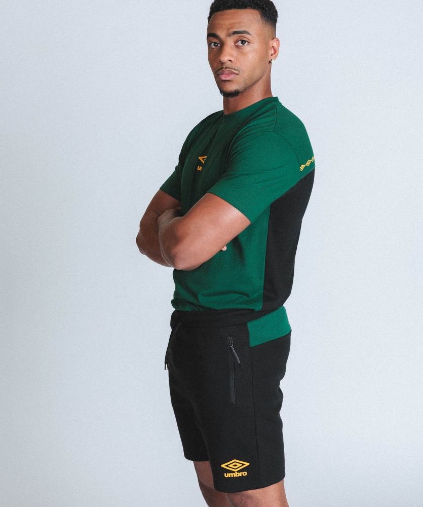 Camiseta Umbro Panelled Jersey Birch...