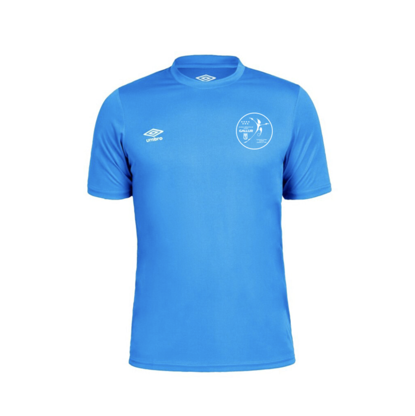 Camiseta Entrenamiento Home Gallur - Rayo Latina Royal