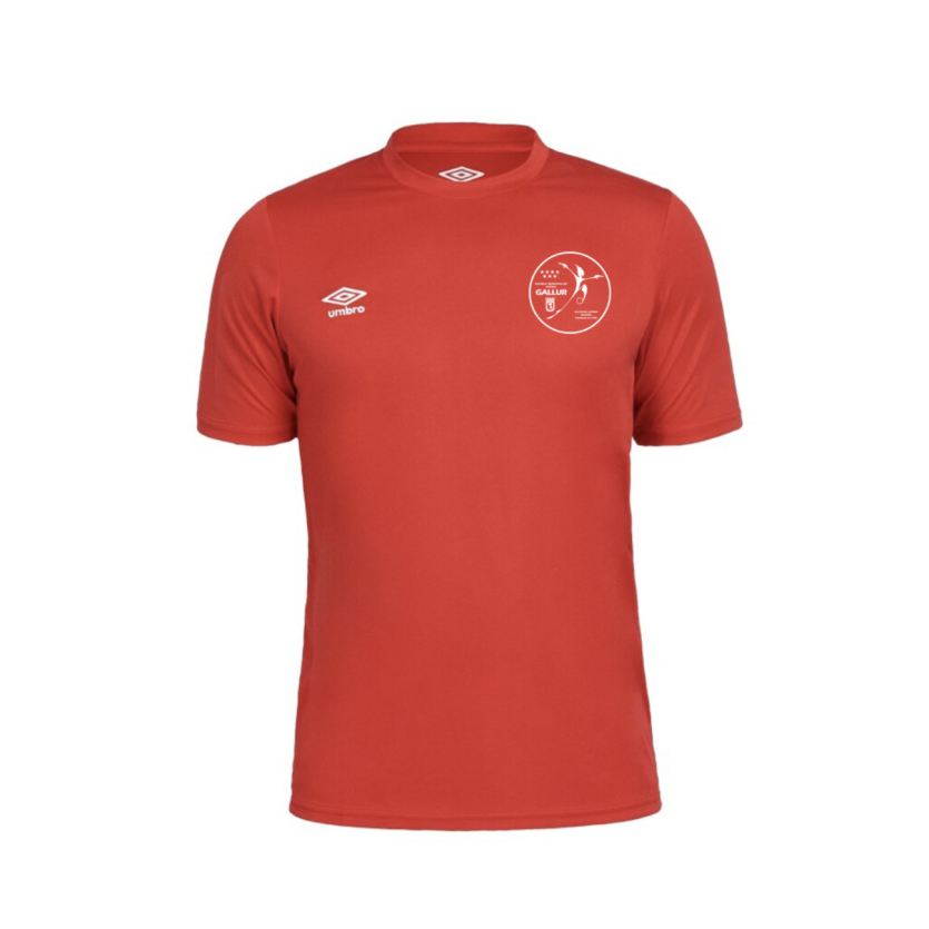 Away Gallur Training T-Shirt - Red Latin Ray